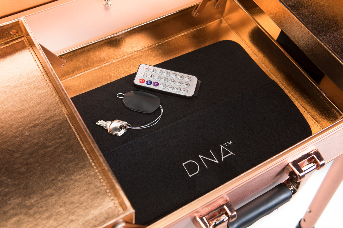 Vanity Case